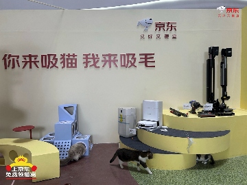 京东宠物清洁家电双十一优惠 公益猫窝温暖寒冬
