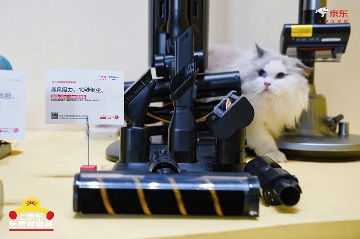 京东宠物清洁家电双十一优惠 公益猫窝温暖寒冬