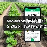 AI驱动消费级端到端制造,WowNow亮相CES AI驱动消费级端到端制造,WowNow亮相CES
