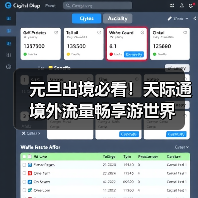 新年出境游热度攀升 华为海外网络服务助力畅行无忧
