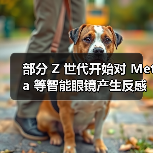 Z世代隐私焦虑升级:智能眼镜引发公众担忧 Z世代隐私焦虑升级:智能眼镜引发公众担忧