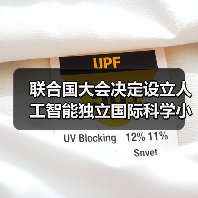 联合国大会决定设立人工智能独立国际科学小组与全球人工智能治理对话机制