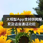 大模型App支持联网搜索及语音通话功能