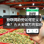 物联网趋势如何定义未来？五大关键方向解析