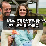 Meta称非法下载属个人行为 与AI训练无关