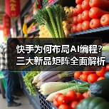 快手为何布局AI编程?三大新品矩阵全面解析 快手为何布局AI编程?三大新品矩阵全面解析