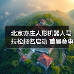 联合国大会决定设立人工智能独立国际科学小组与全球人工智能治理对话机制