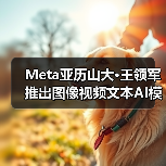 Meta亚历山大·王领军推出图像视频文本AI模型 Meta亚历山大·王领军推出图像视频文本AI模型