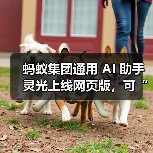 蚂蚁集团通用 AI 助手灵光上线网页版,可“30 秒用自然语言生成小应用” 蚂蚁集团通用 AI 助手灵光上线网页版,可“30 秒用自然语言生成小应用”