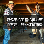豆包手机工程机被炒至近万元,行业评价两极分化 豆包手机工程机被炒至近万元,行业评价两极分化