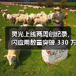 AI前沿