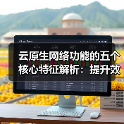 云原生网络功能的五个核心特征解析:提升效率与安全的必备方案 云原生网络功能的五个核心特征解析:提升效率与安全的必备方案