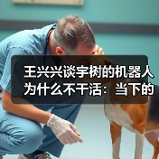 王兴兴谈宇树的机器人为什么不干活:当下的技术差一点火候 王兴兴谈宇树的机器人为什么不干活:当下的技术差一点火候