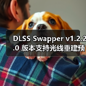DLSS Swapper v1.2.2.0 版本支持光线重建预设并扩展游戏支持 DLSS Swapper v1.2.2.0 版本支持光线重建预设并扩展游戏支持