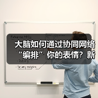 大脑如何通过协同网络“编排”你的表情?新研究颠覆传统认知 大脑如何通过协同网络“编排”你的表情?新研究颠覆传统认知