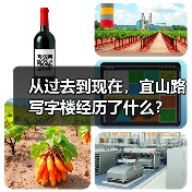 科技生活方式