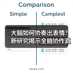 大脑如何协奏出表情?新研究揭示全脑协作真相 大脑如何协奏出表情?新研究揭示全脑协作真相
