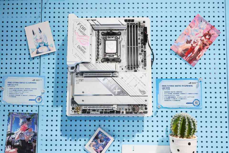 ROG玩家国度亮相BW2025，发布多款联名主板与次元主题全家桶