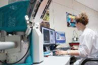 医疗离型膜应用解析：从痘痘贴到护肝片的安全与性能要求