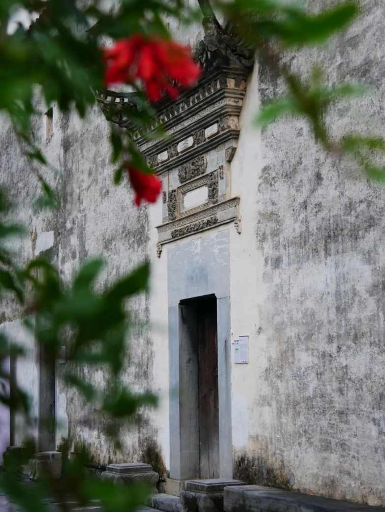 庭午，蝉没收了时间