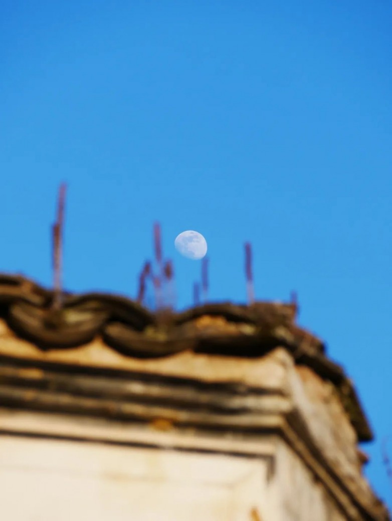 庭午，蝉没收了时间