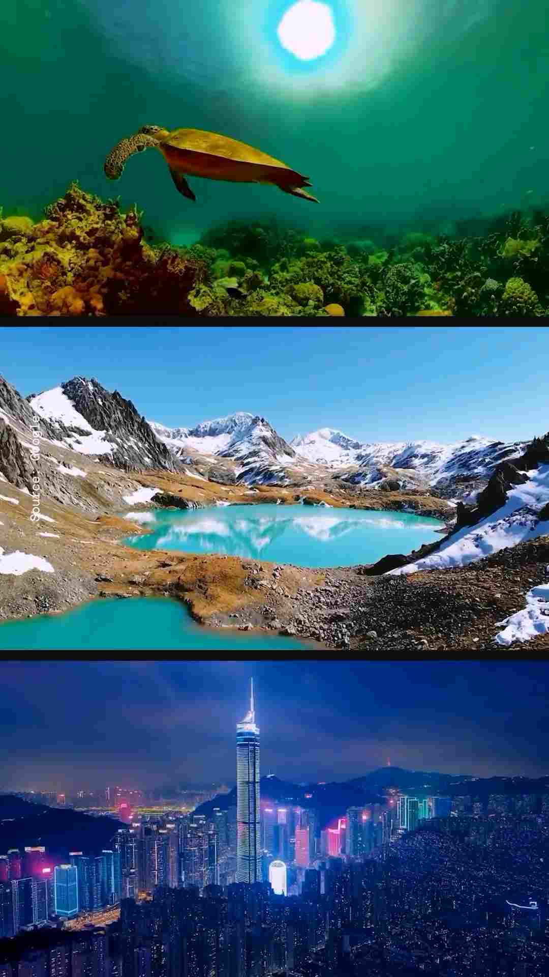 谷歌Veo视频生成模型发布，AI视频创作进入新阶段